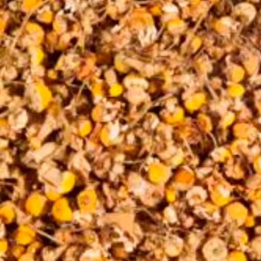 Urte Te - Kamilleblomst