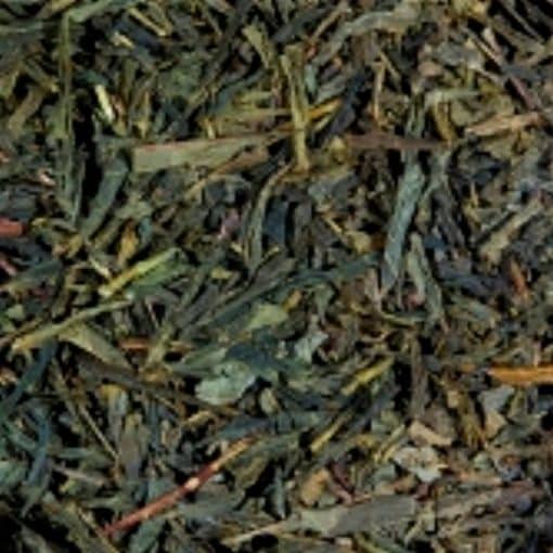 Grøn Sencha - Zhejiang