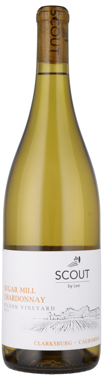 Scout by Leo - Sugar Mill Chardonnay - Wilson Vineyard Clarksburg