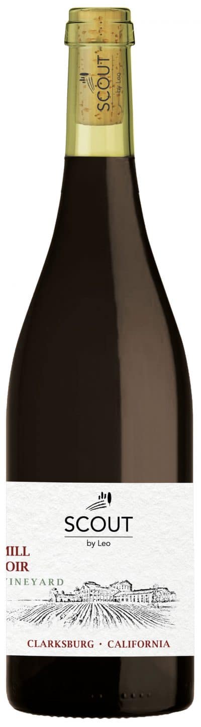 Scout by Leo - Sugar Mill Pinot Noir - Wilson Vinyard Clarksburg